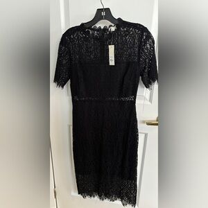 Francescas Miami Hamilton Lace Midi Black Dress Size medium New with Tags